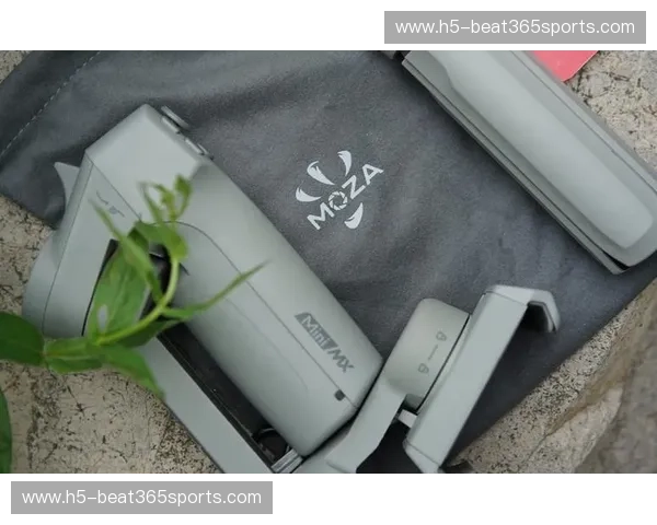 数据飞盘：让数据在指尖飞翔的未来利器